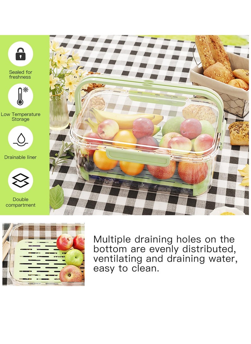 Excefore - Fruit Storage Berry Keeper Container with Lid and Handle, Portable Food Saver with Ice Pack, Keeps Fruit, Vegetables, Meat Fresh, Ideal for Picnic, Office, Refrigerator, Fridge (Green) - Image 1