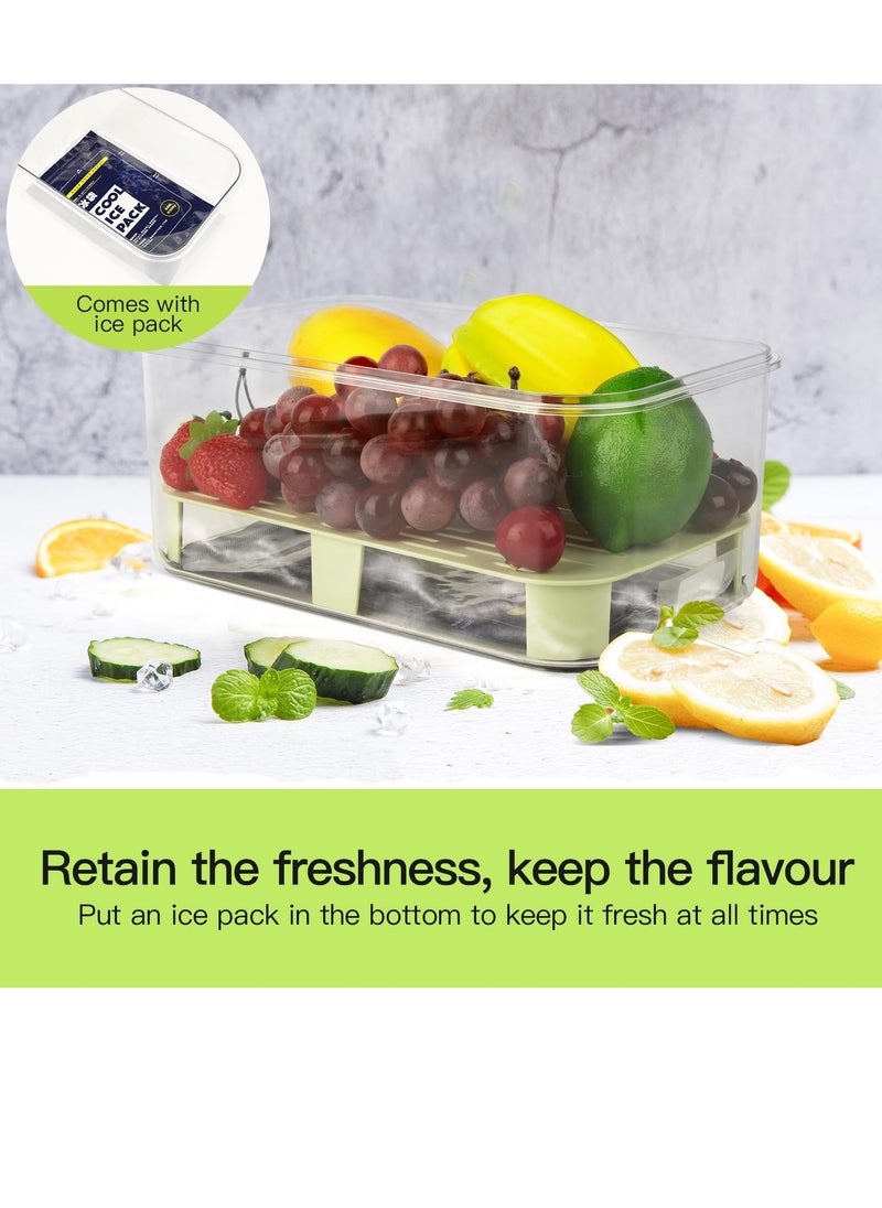 Excefore - Fruit Storage Berry Keeper Container with Lid and Handle, Portable Food Saver with Ice Pack, Keeps Fruit, Vegetables, Meat Fresh, Ideal for Picnic, Office, Refrigerator, Fridge (Green) - Image 1