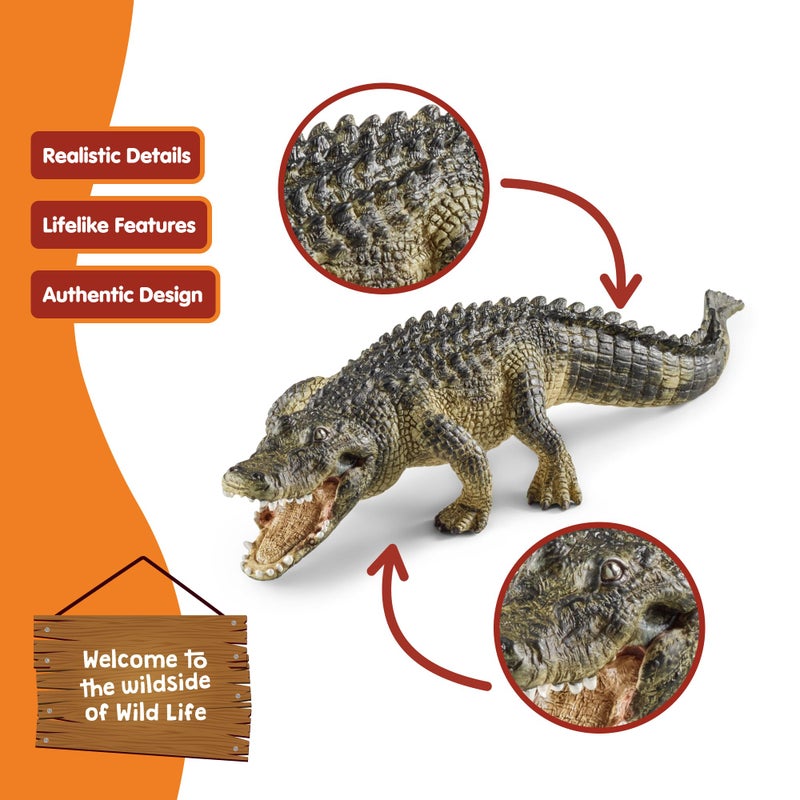 Schleich شلايخ وايلد لايف - تمثال تمساح 7 بوصات بفك متحرك - تمثال زاحف واقعي للعب الخيالي بدون شاشات - لعبة تعليمية عن حيوانات المستنقعات للأطفال - الأولاد والبنات 3+ | 14727 - Image 4
