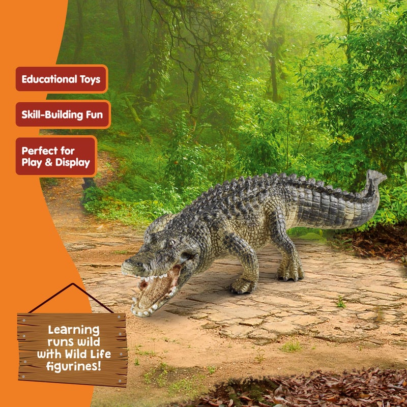 Schleich شلايخ وايلد لايف - تمثال تمساح 7 بوصات بفك متحرك - تمثال زاحف واقعي للعب الخيالي بدون شاشات - لعبة تعليمية عن حيوانات المستنقعات للأطفال - الأولاد والبنات 3+ | 14727 - Image 5