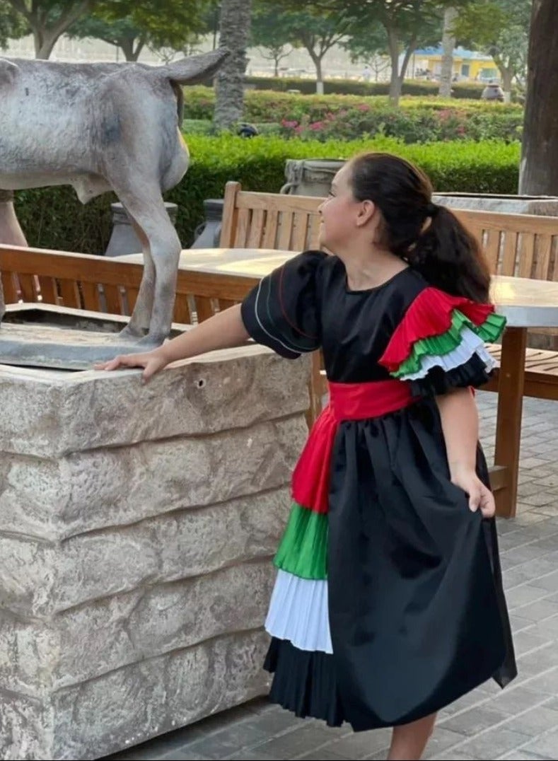 Lamora Flag Side Pleating Dress - Black, National day dress UAE, UAE flag day Dress, National day clothes  - Image 2