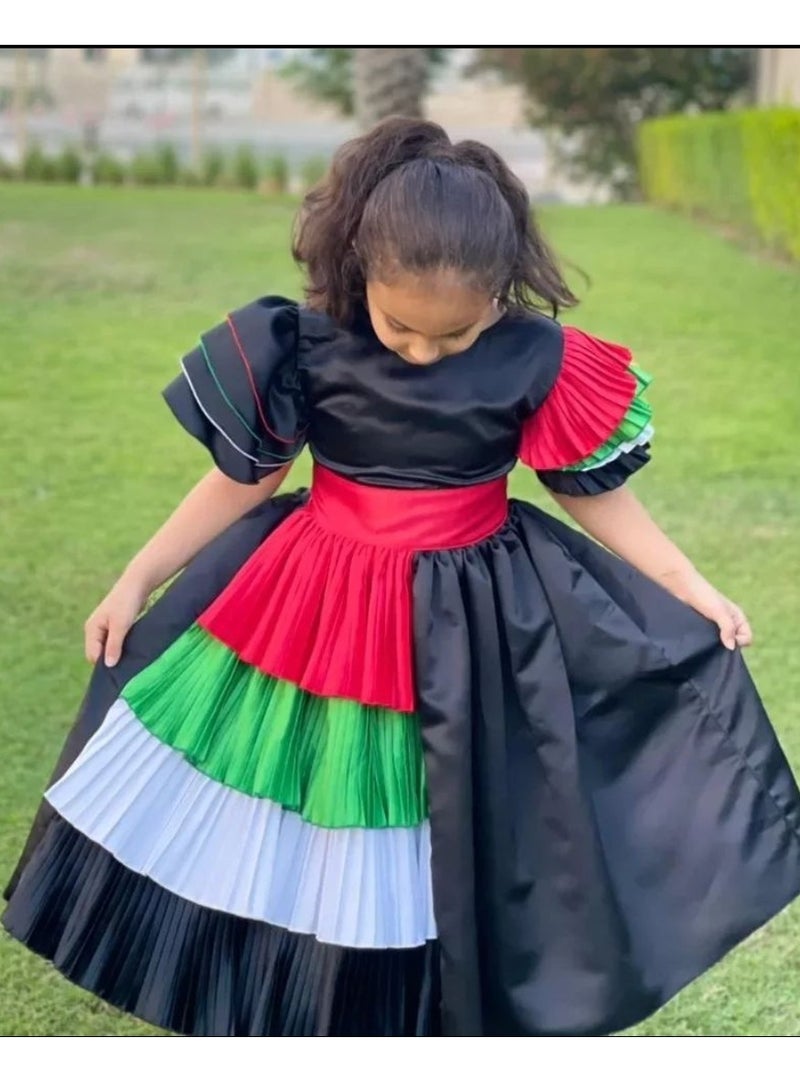 Lamora Flag Side Pleating Dress - Black, National day dress UAE, UAE flag day Dress, National day clothes  - Image 3