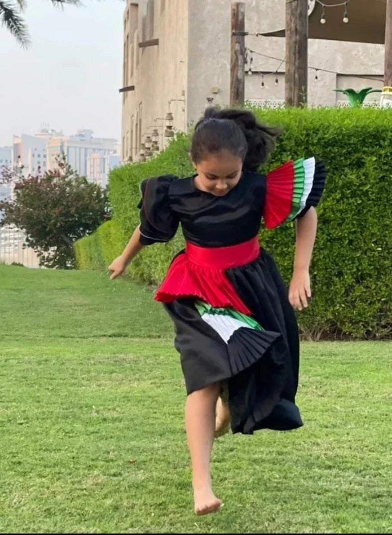 Lamora Flag Side Pleating Dress - Black, National day dress UAE, UAE flag day Dress, National day clothes  - Image 4