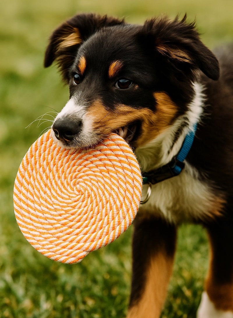 Durable Dog Rope Toys - Knot Weaving,  Bite Resistant