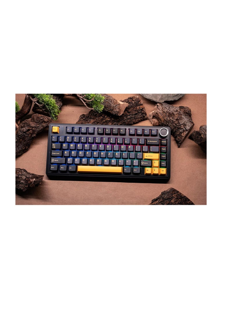 AULA F75 Gasket Mechanical Keyboard, 75% Wireless Hot Swappable Gaming Keyboard with Five-Layer Padding&Knob, Bluetooth/2.4GHz/USB-C, RGB (Black, Crescent Switch)