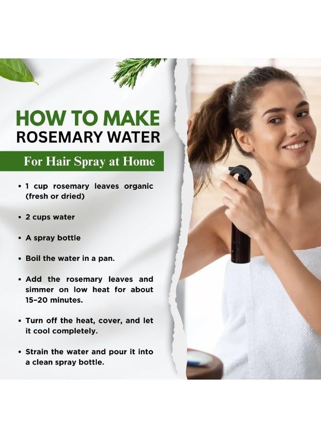 BrijBooti Rosemary Leaves for Hair Growth (100g) | FSSAI, GMP, ISO | Prepare Rosemary Water for Hair | rosemary leaves | Herbal Tea for Hair Growth | Use for Seasoning - Image 3