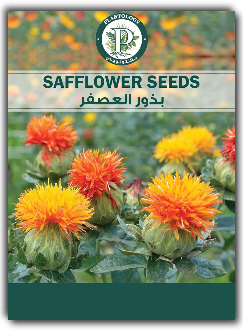 Safflower Seeds for Planting - Safflower Herb Seeds - 2 Packets - Image 1