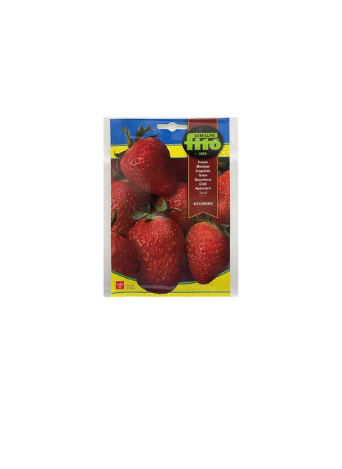 FITO® STRAWBERRY ALEXANDRIA SEEDS (Net weight 110 mg.) – بذور فراولة