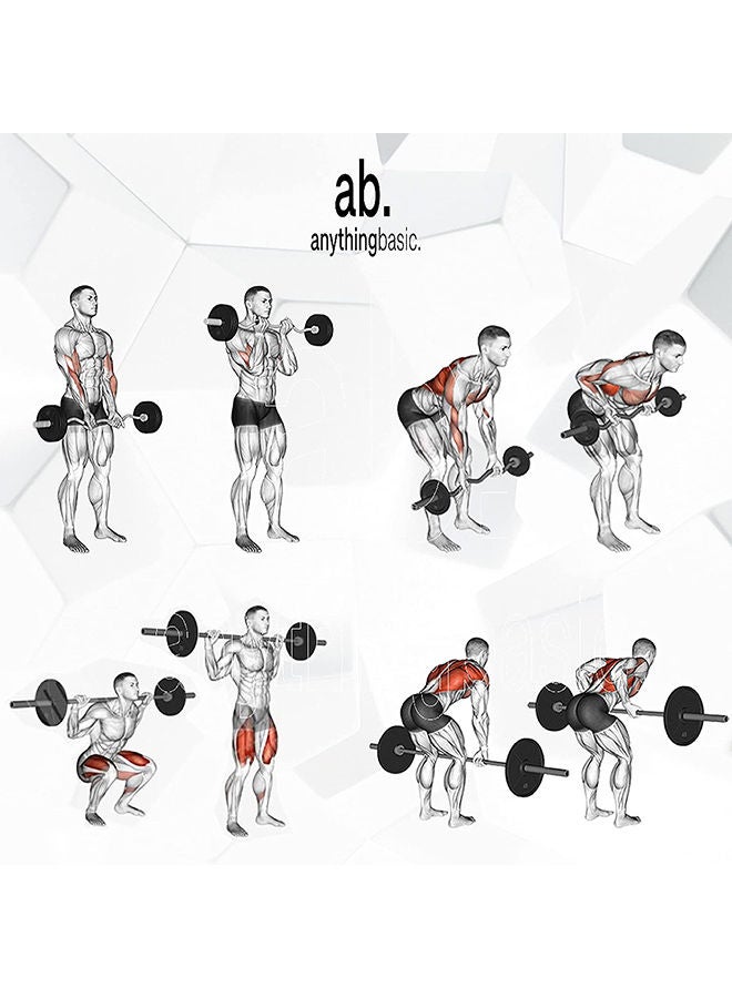 anythingbasic. Adjustable PVC Dumbbell Set of 10Kg (22LB) Includes 4 Plates * 2.5Kg (5.5LB) , 14'' Dumbbell Rod Pair & Nuts | Material : Polyvinyl Chloride | Unisex  - Image 5