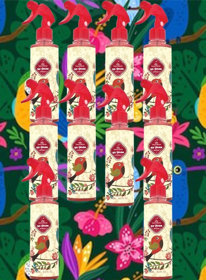 Genie Collection 10 Pieces Red Air Freshener 250ml - Image 1