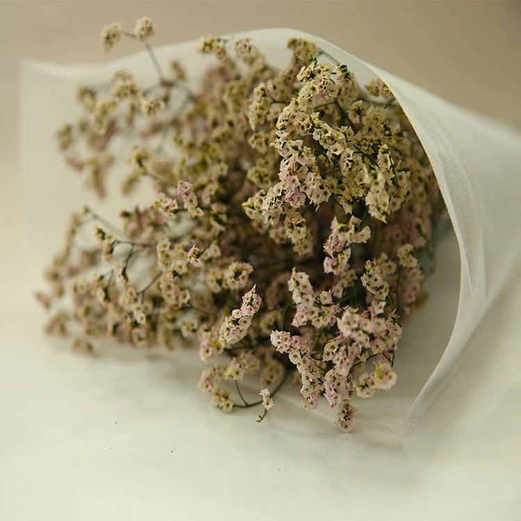 Bluejw HFlora Preserved Dried Flower Crystal Grass with Steam – Long-Lasting Dried Plants Bouquet for Valentine's Day, Romantic Gift Ready - Image 2