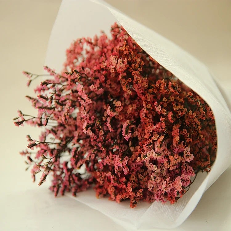 Bluejw HFlora Preserved Dried Flower Crystal Grass with Steam – Long-Lasting Dried Plants Bouquet for Valentine's Day, Romantic Gift Ready - Image 3