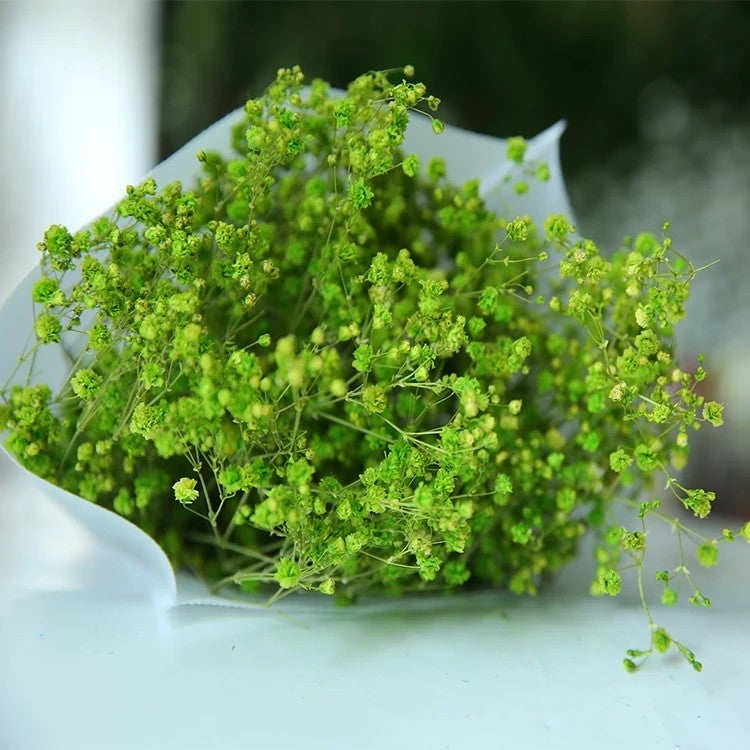Bluejw HFlora Preserved Dried Flower Crystal Grass with Steam – Long-Lasting Dried Plants Bouquet for Valentine's Day, Romantic Gift Ready - Image 4