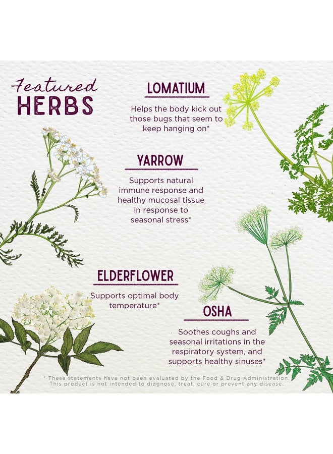 WishGarden Herbs Serious V-Fighter - Plant-Based Herbal Rapid Immune Support & Respiratory Health with OSHA & Goldenseal, Soothes Aches & Irritated Lungs, Supports Optimum Body Temperature, 4oz - Image 4