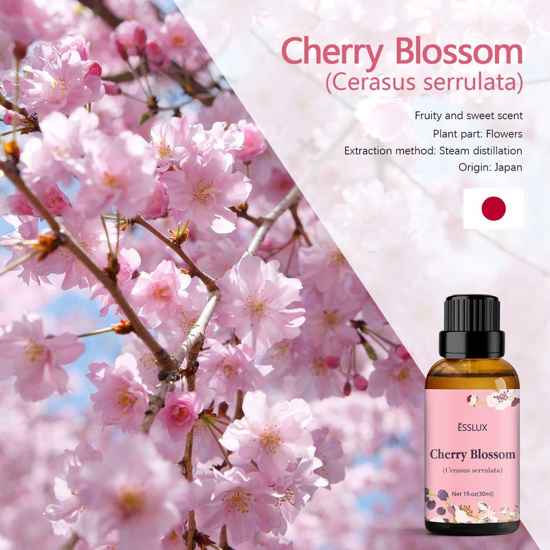 ESSLUX Cherry Blossom Essential Oil, ESSLUX Aromatherapy Oils for Diffuser, Massage, Soap, Candle Making, Perfume, 30 ml - Image 2