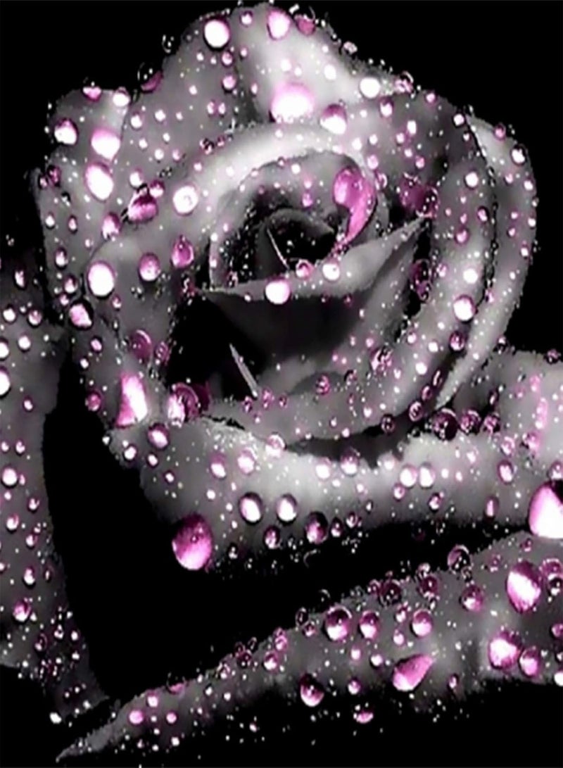 GGOOT 300Pcs/Bag Rose seeds Good Harvest Full Sun Fast Growing Decorative Flowering Bonsai seeds Yard Multicolor - Image 5