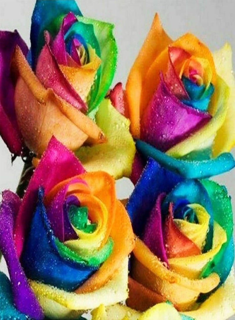 GGOOT 300Pcs/Bag Rose seeds Good Harvest Full Sun Fast Growing Decorative Flowering Bonsai seeds Yard Multicolor - Image 2