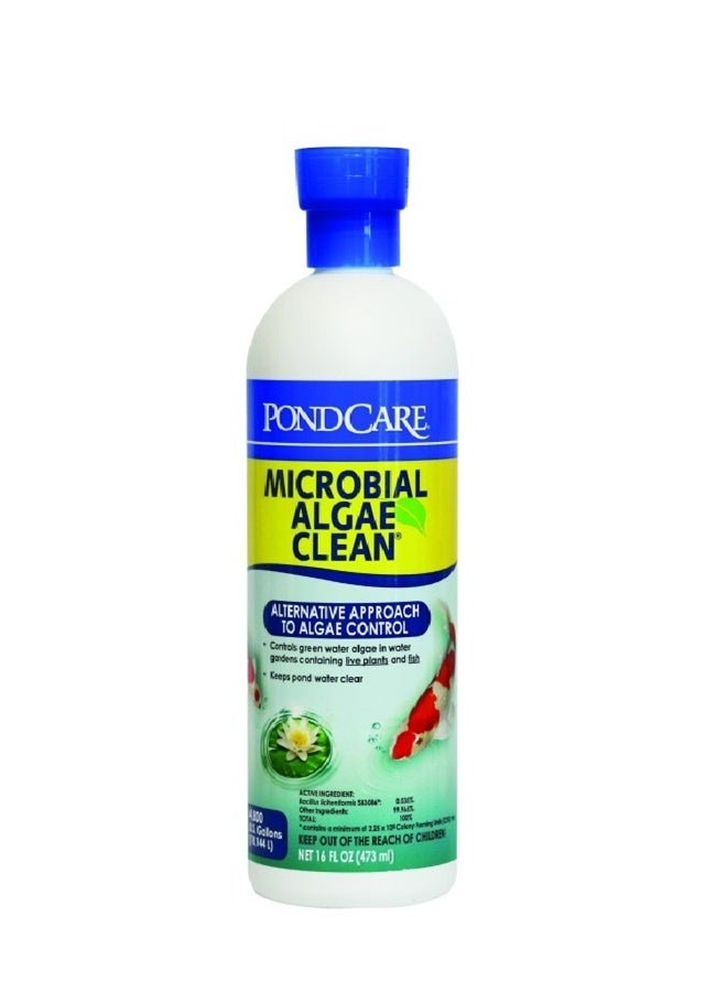 API Pondcare Microbial Algae Clean - 16 Oz