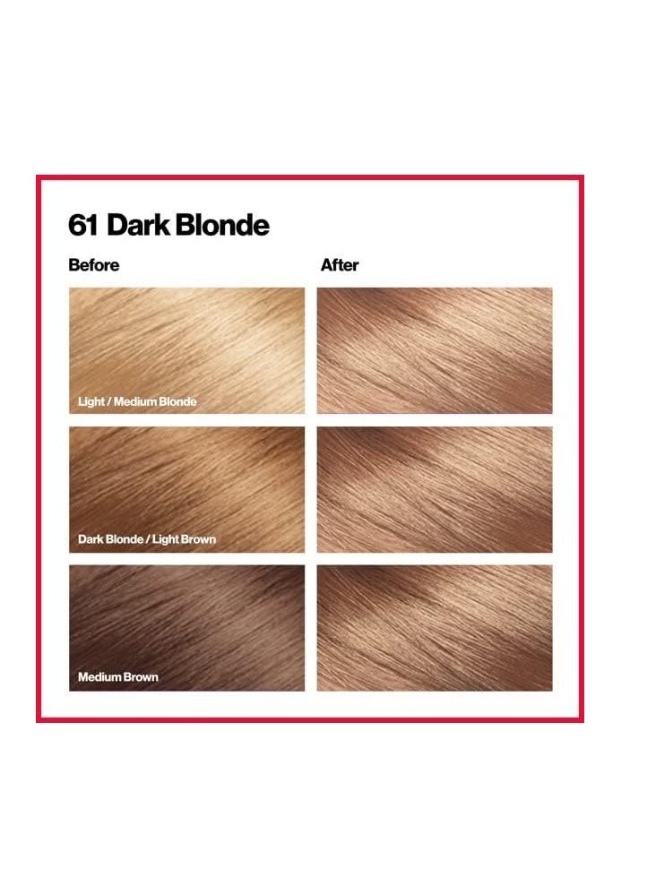 Revlon - Revlon Color Silk -Dark Blonde 61 - Image 1