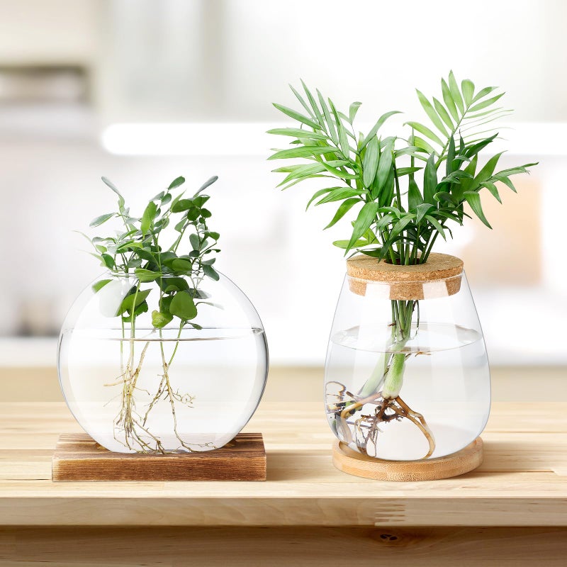 Layhit 4 Pcs Plants Propagation Stations Separated Desktop Plant Terrarium Glass Planter Vase With Wooden Lid And Bamboo Stand For Growing Hydroponic Home Office Tabletop Decoration (Cute Style) - Image 5