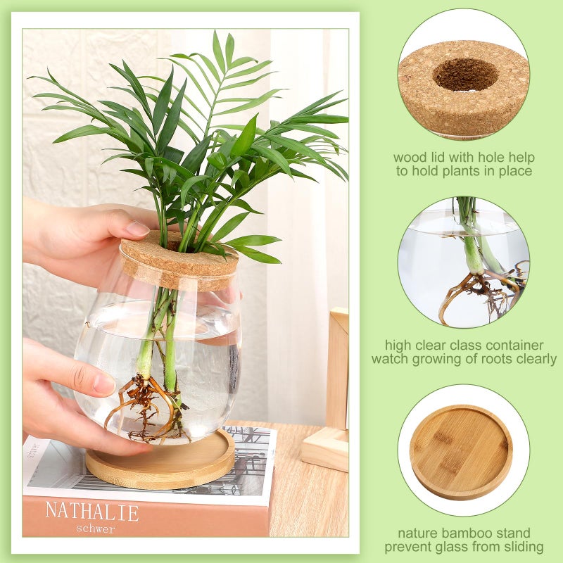 Layhit 4 Pcs Plants Propagation Stations Separated Desktop Plant Terrarium Glass Planter Vase With Wooden Lid And Bamboo Stand For Growing Hydroponic Home Office Tabletop Decoration (Cute Style) - Image 4