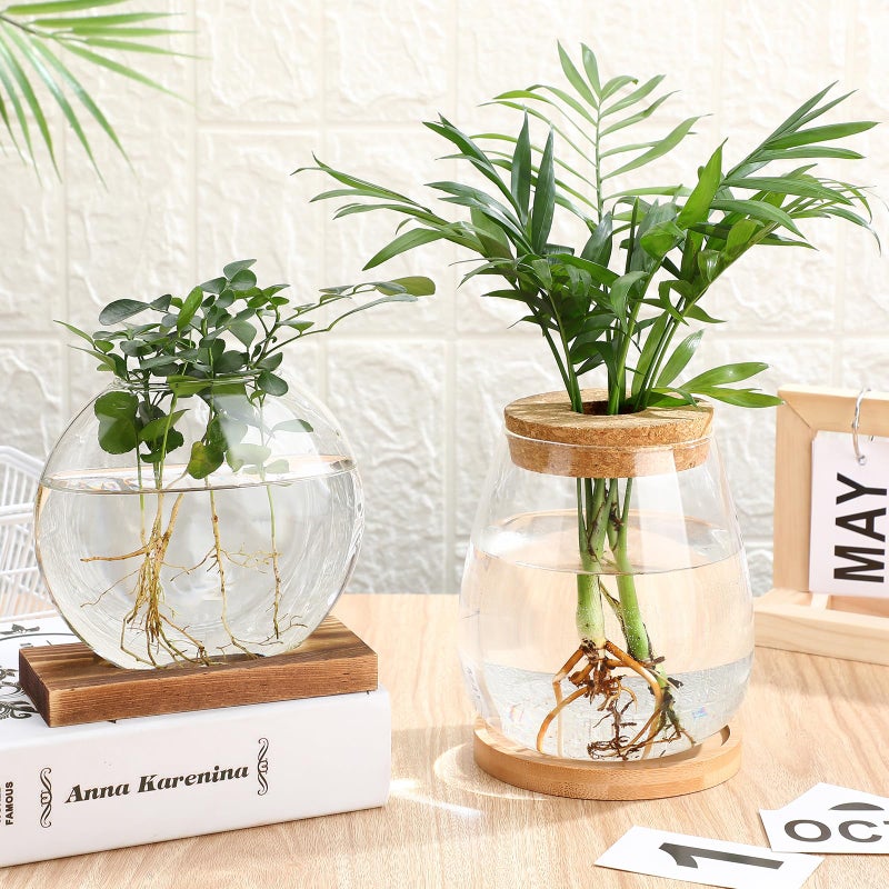 Layhit 4 Pcs Plants Propagation Stations Separated Desktop Plant Terrarium Glass Planter Vase With Wooden Lid And Bamboo Stand For Growing Hydroponic Home Office Tabletop Decoration (Cute Style) - Image 2