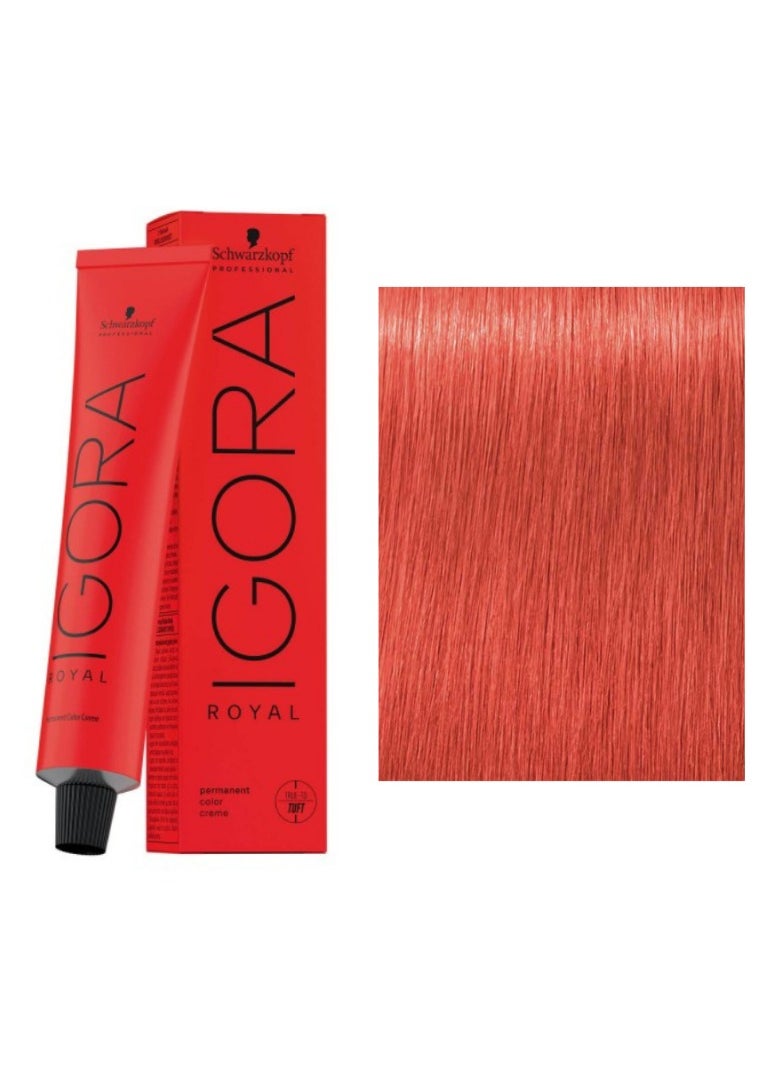 Schwarzkopf Professional - Igora Royal Permanent Color 0-88 Red Concentrate 60 ml - Made in Germany - Image 1