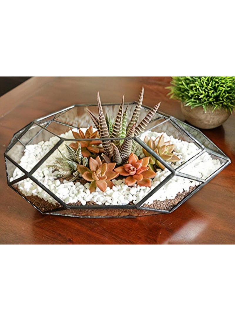 LAMAY Glass Terrarium Irregular Geometric Planter Indoor Air Plants Holder Window Balcony Display Succulent Flower Pot 11" Black - Image 4
