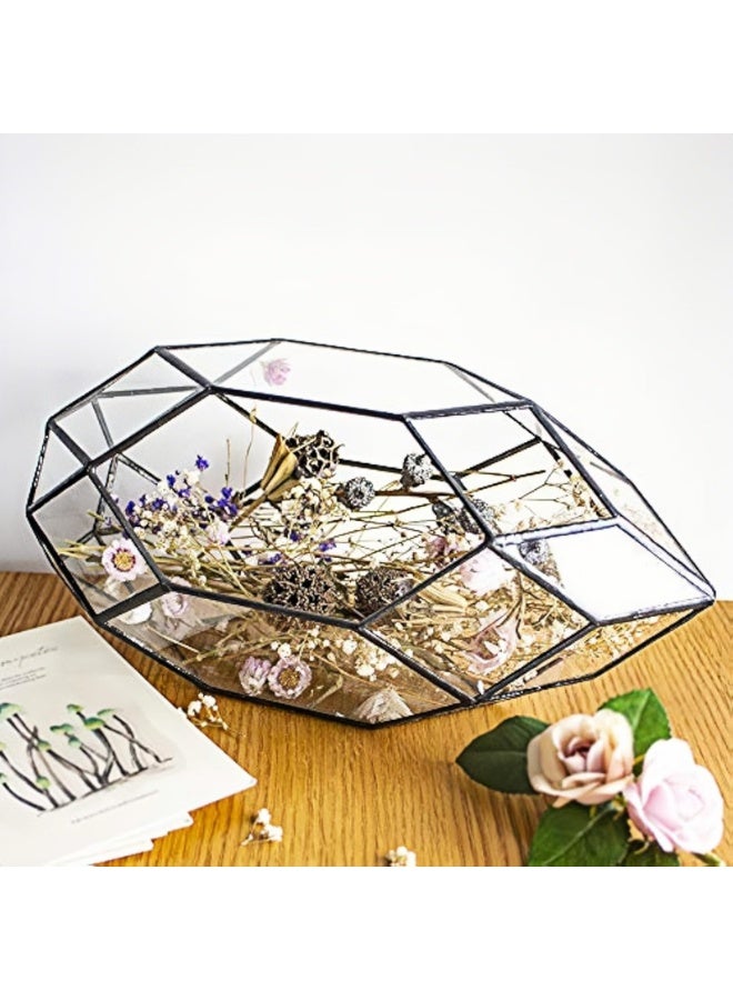 LAMAY Glass Terrarium Irregular Geometric Planter Indoor Air Plants Holder Window Balcony Display Succulent Flower Pot 11" Black - Image 2