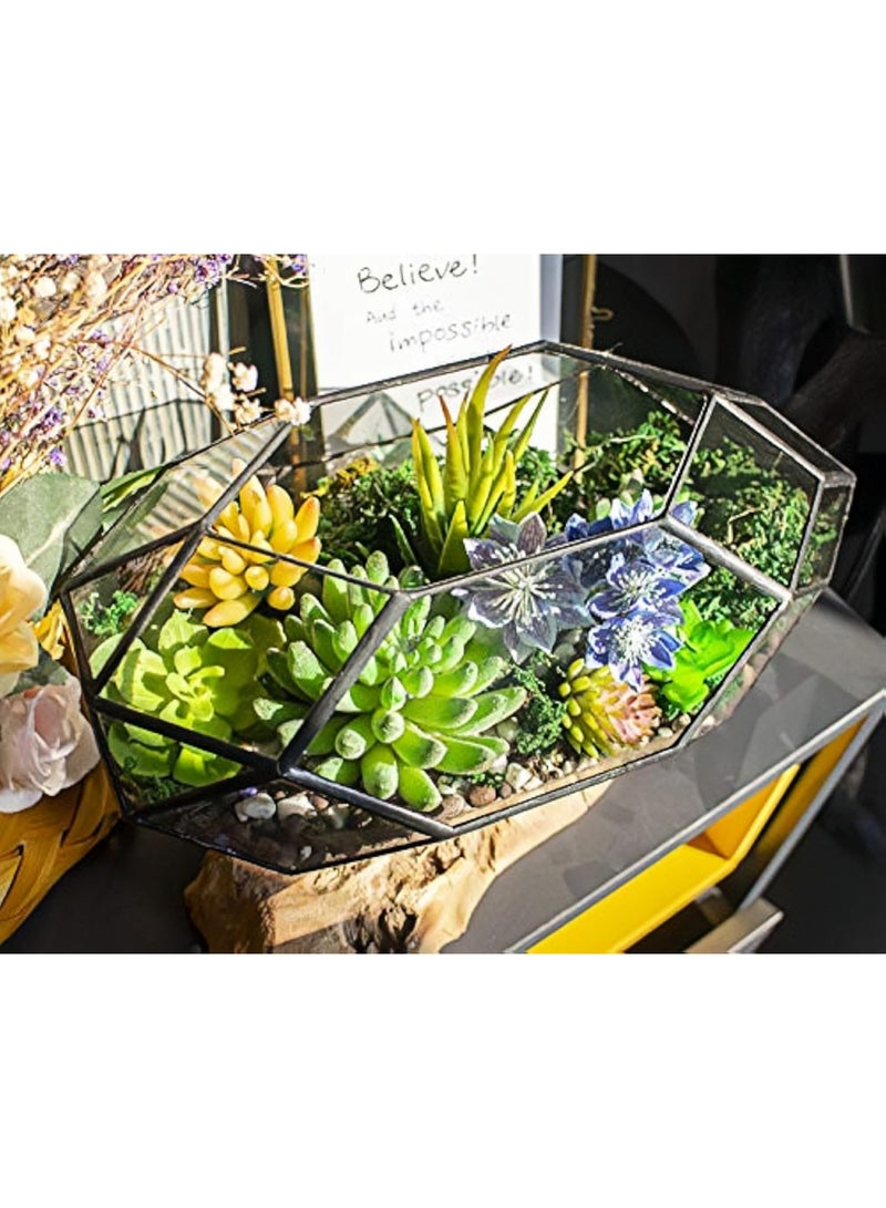 LAMAY Glass Terrarium Irregular Geometric Planter Indoor Air Plants Holder Window Balcony Display Succulent Flower Pot 11" Black - Image 5