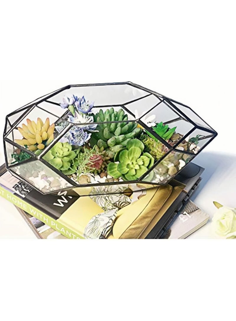LAMAY Glass Terrarium Irregular Geometric Planter Indoor Air Plants Holder Window Balcony Display Succulent Flower Pot 11" Black - Image 3