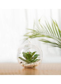 Virya H_homes Virya Hanging Glass Planters for IndoorOutdoor Decoration Clear Borosilicate Glass Pack of 1 