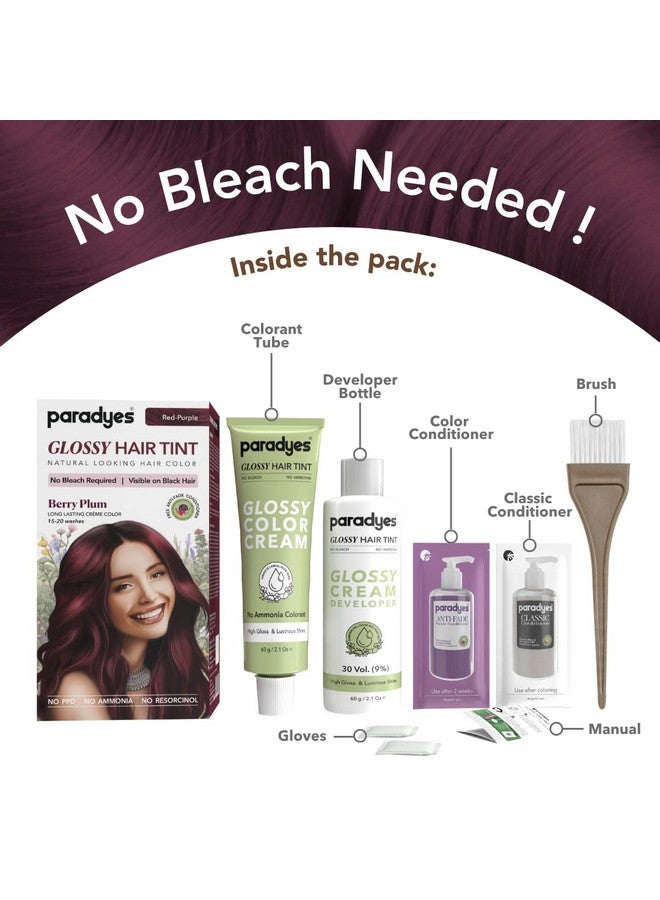 Paradyes No Bleach Berry Plum Glossy Hair Tint, Ammonia-Free Formula For Natural Black Hair, Visible On Natural Black Hair, Includes Anti-Fade Conditioner For Long-Lasting Shine - Image 3