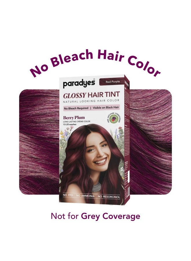 Paradyes No Bleach Berry Plum Glossy Hair Tint, Ammonia-Free Formula For Natural Black Hair, Visible On Natural Black Hair, Includes Anti-Fade Conditioner For Long-Lasting Shine - Image 2