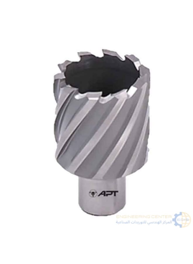 Apt Magnetic bit 22 x 30mm APT HSS-XE