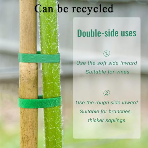 Gozaqe Plant Tie Strap(1 Mtr X 12Mm,6 Roll) Plant Holder,Reusable, Adjustable,Multi-Use Tie Tape For Plant Support For Climbers,Plant Support,Cable Organizer - Image 4
