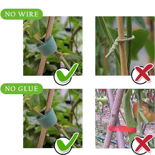 Gozaqe Plant Tie Strap(1 Mtr X 12Mm,6 Roll) Plant Holder,Reusable, Adjustable,Multi-Use Tie Tape For Plant Support For Climbers,Plant Support,Cable Organizer - Image 2
