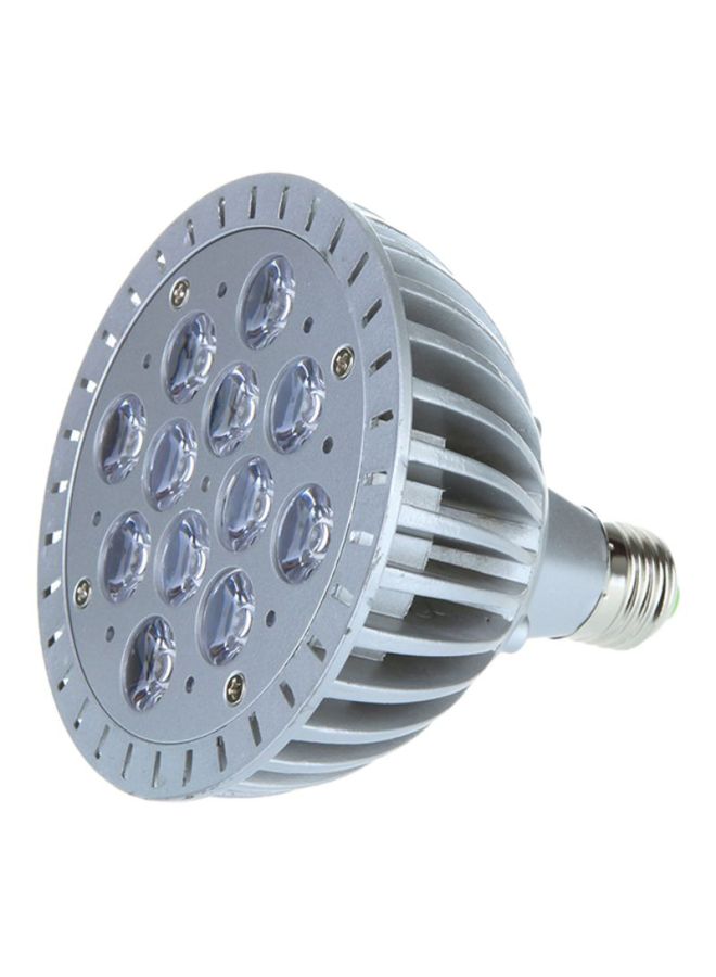 NIBEMINENT Hydroponic Grow Light Bulb Grey/Clear