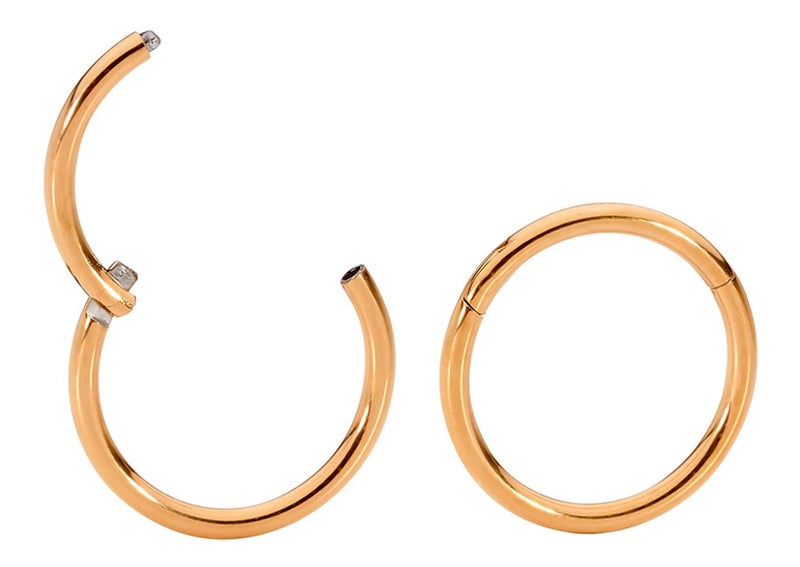 365 Sleepers 2PCS 20G Surgical Steel 6mm - 10mm Hinged Hoop Segment Septum Cartilage Helix Tragus Lip Eyebrow Nose Ring Sleeper Earrings (8mm) - Image 1