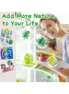 CMGTYYD 8PCS Plant Fridge Magnets, Tropical Leaf Fridge Magnets, 3D Plant Whiteboard Magnets, Cute Self-Adhesive Magnets for Fridge, Whiteboard, Notice Board, Kitchen, Office Decoration  - Image 4