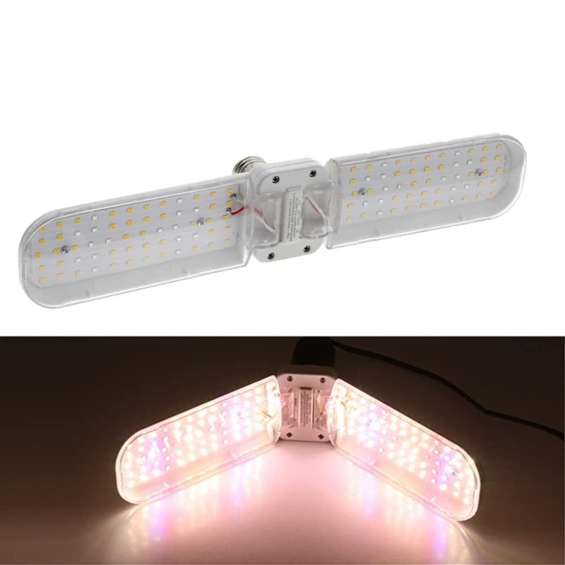 Plant Growth Lights – LED Full Spectrum, Clip On, for Indoor Plants, Succulents