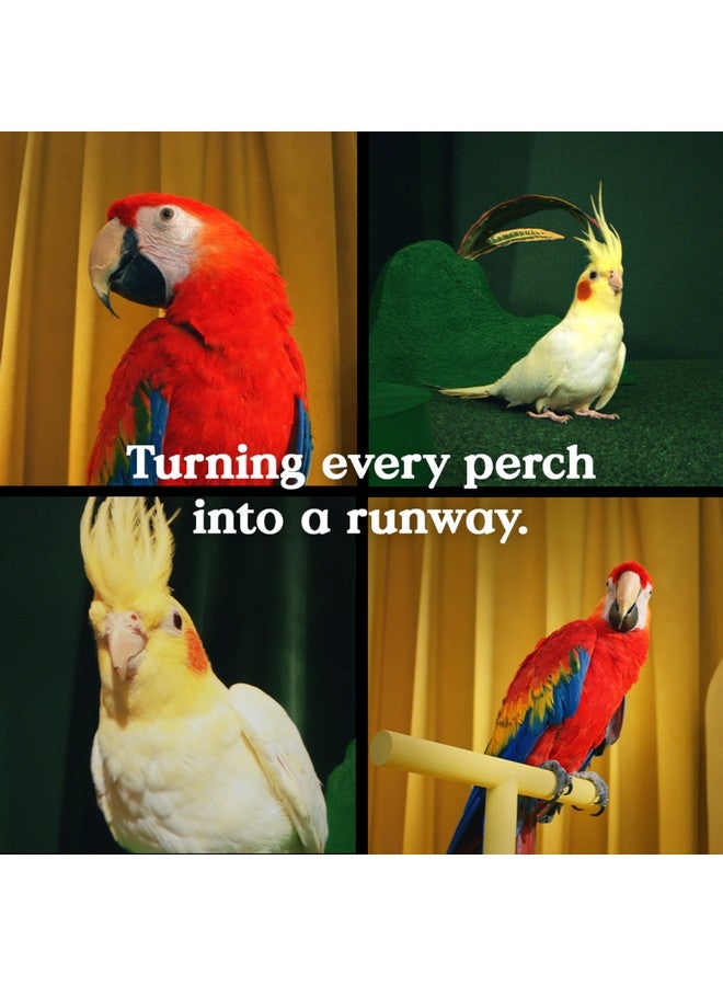 Kaytee Hi-Calcium Grit for Small Birds - Jar 21 oz - Image 5