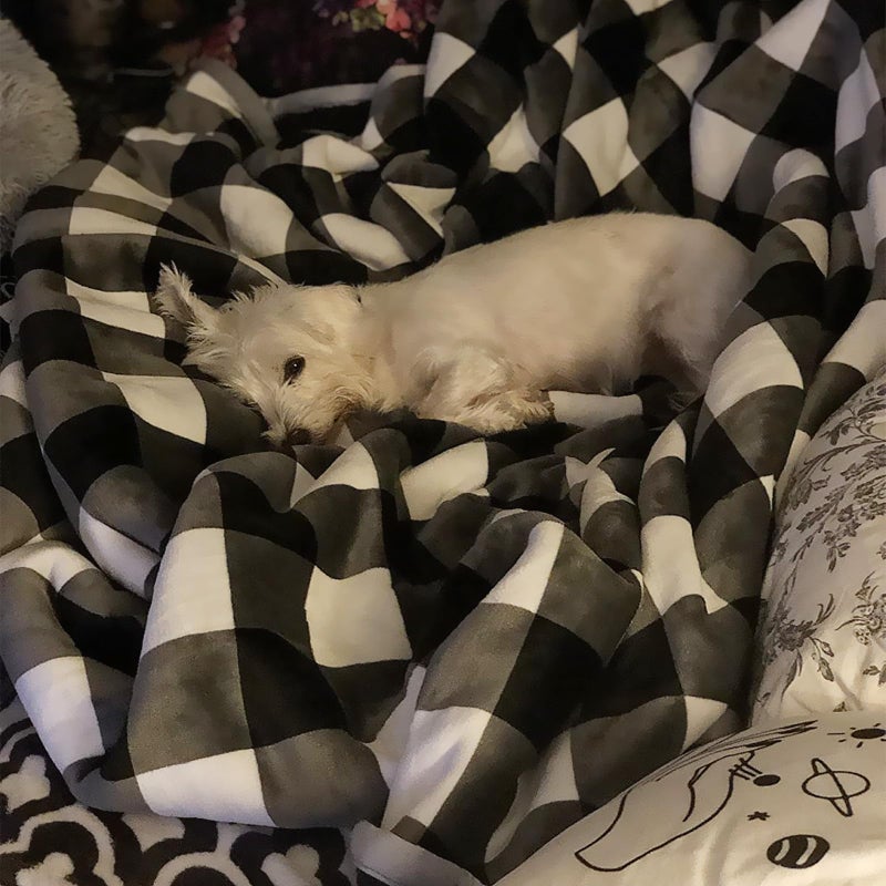 UKELER بطانية UKELER بفحص/مربعات بوفالو 60''×50'' للكنبة - فخمة ناعمة من الفلانيل والشيربا للسرير للأطفال والبالغين - Image 2