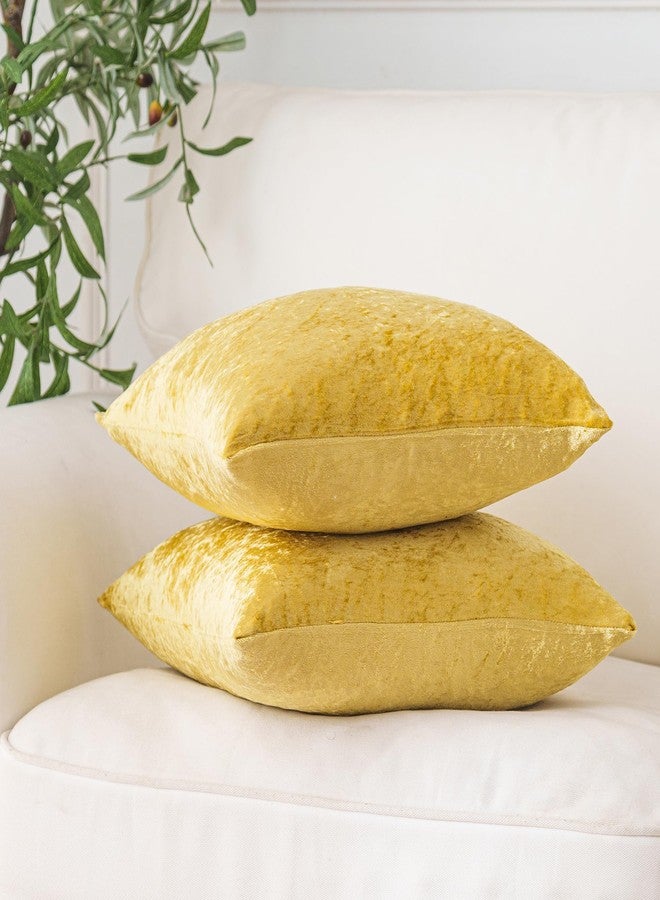 NiNi ALL Velour Throw Pillow Covers Gold 18x18 Inch Set of 2 Decorative Luxurious Pillow Cover Glossy Pillowcase Cushion Cases for Couch Sofa and Home Decor - Image 3