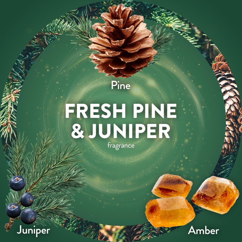 Air Wick Plug In Scented Oil Refill, Infused with Essential Oils, Plug In Air Fresheners for Home, Fresh Pine & Juniper, 4 ct - Image 4