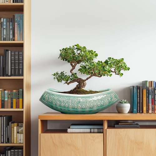 Teagas Bonsai Tree Pot - 18 Inch Ceramic Succulent Pots for Indoor Outdoor, Large Bonsai Planter with Drainage Hole, Ceramic Flower Pot, Decorative Planter, Gifts for Plant Lovers, Room Decor, Green - Image 3