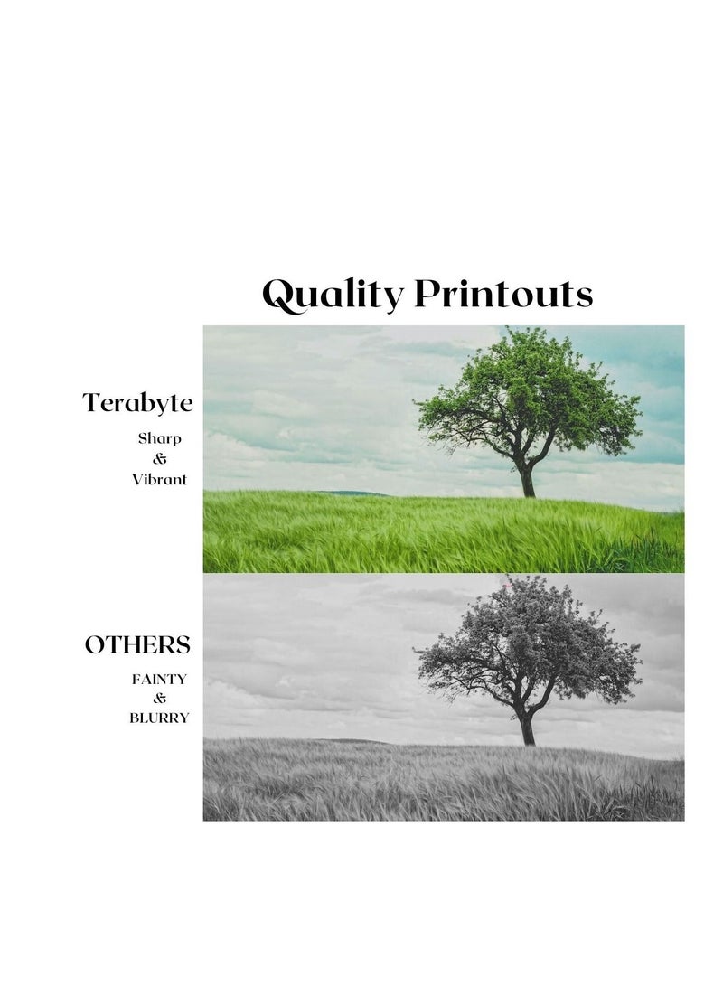 Terabyte TONER CARTRIDGE TN3230/TN3250/TN3280/TN3235/TN3285 BLACK - Image 4