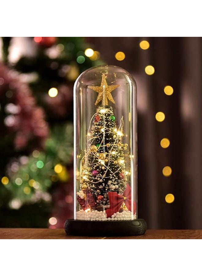 Christmas Tree in Glass Dome - Image 4