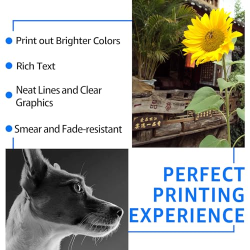 SuperInk 21XL 22XL Ink Cartridge Combo Pack Remanufactured for HP 21 22 21 XL 22 XL Compatible with DeskJet F4180 F2110 D1560 Officejet 4315 J3680 4315Y FAX 1250 3180 Printer (Black Tri-Color,2 Pack) - Image 5