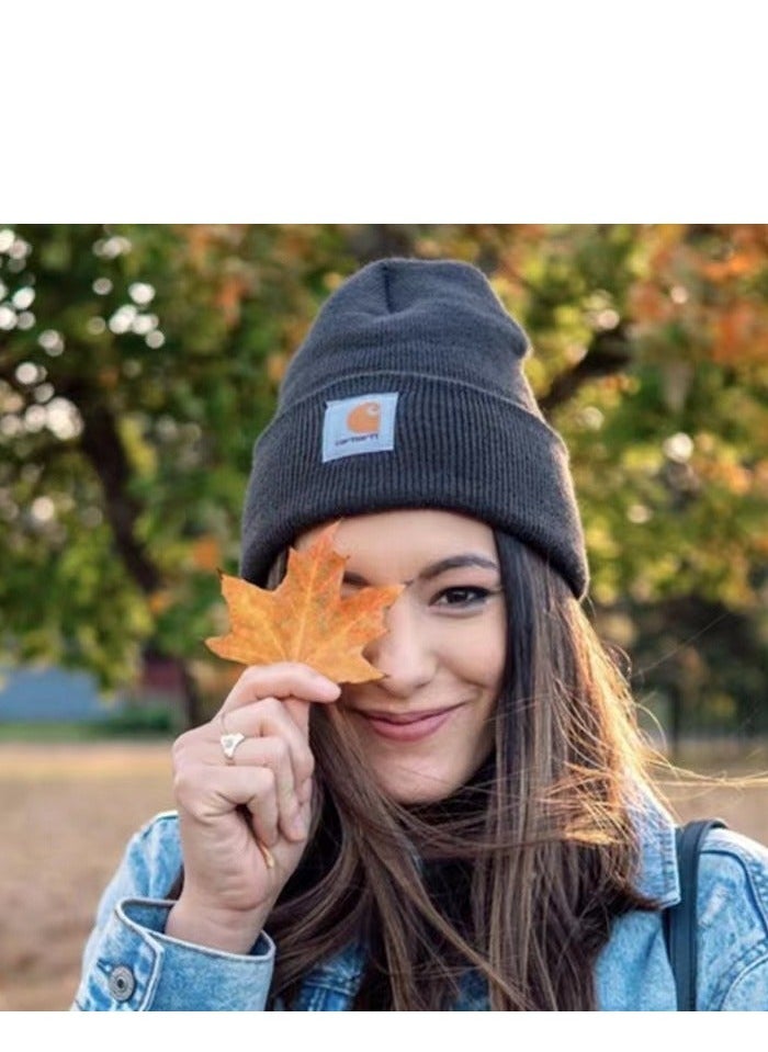 carhartt Carhartt Knit Cuffed Beanie  - Image 2